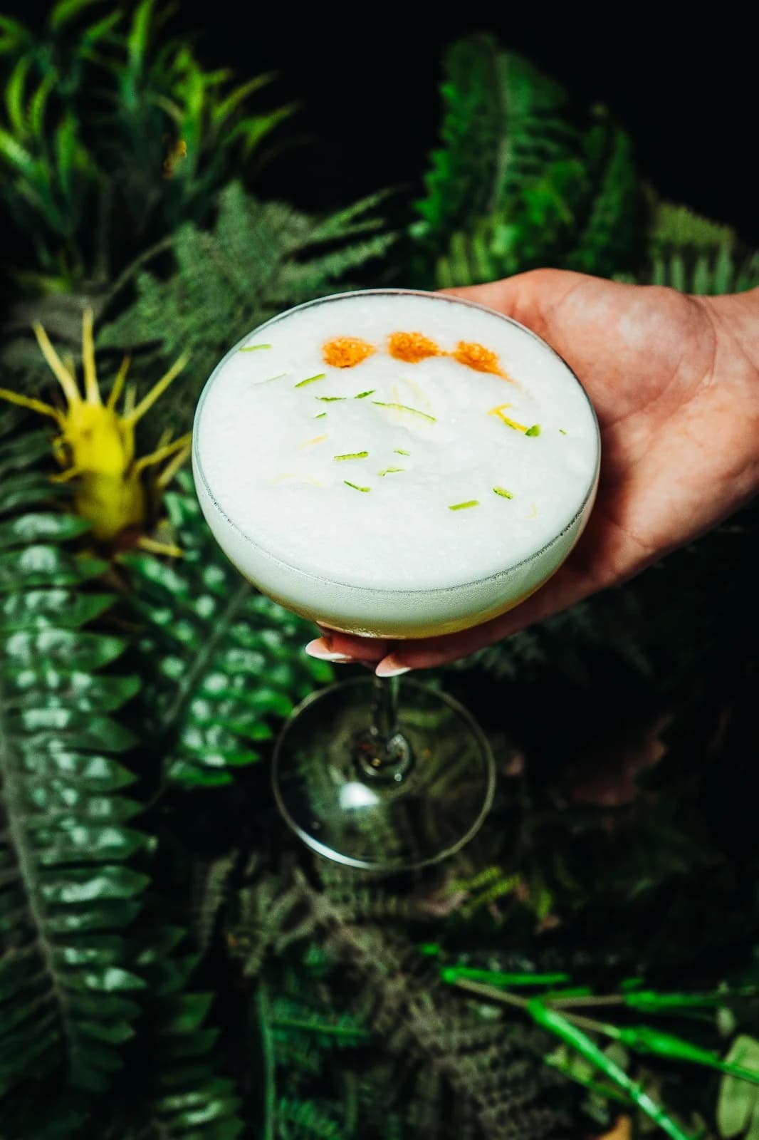 Cocktail sour servido con plantas tropicales
